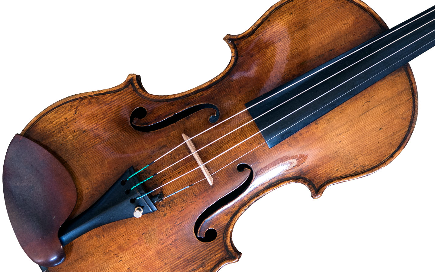 Violin